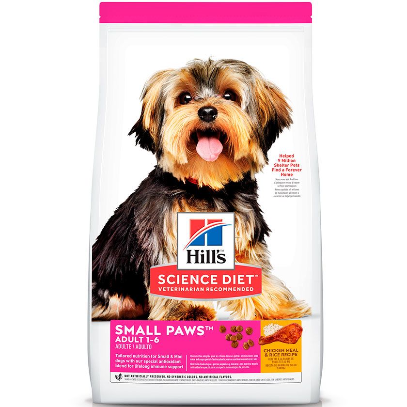 hills-dog-adult-small-paws4740